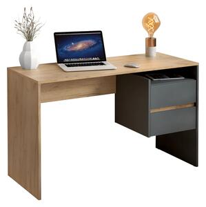 KONDELA PC stôl, dub artisan/grafit, TULIO NEW