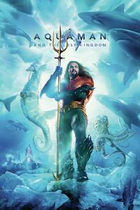 Umelecká tlač Aquaman and the Lost Kingdom - King, (26.7 x 40 cm)