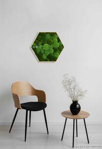 Machový Hexagon BOLMOSS DUO Natural Green