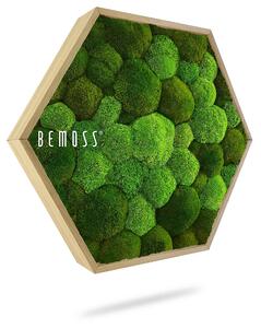 Machový Hexagon BOLMOSS DUO Natural Green
