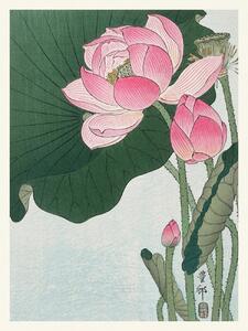 Umelecká tlač Blooming Lotus (Japandi Vintage) - Ohara Koson, (30 x 40 cm)