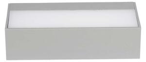 LED Vonkajšie nástenné svietidlo LED/9W/230V 6400K IP65