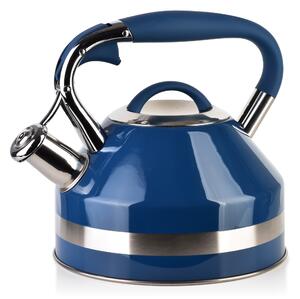 Allesken Rýchlovarná kanvica GEORG BLUE 2,0 l strieborná/modrá