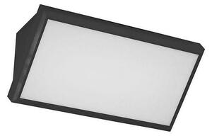LED Vonkajšie nástenné svietidlo LED/12W/230V 6400K IP65 čierna