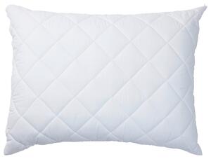 VANKÚŠ, 70/90 cm Billerbeck - Prikrývky & vankúše