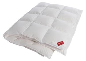 PÁPEROVÁ PRIKRÝVKA, 140/200 cm, páperie Hefel Textil - Prikrývky & vankúše