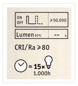 LED Stmievateľná žiarovka CLASSIC G125 E27/4,5W/230V 2600K - Paulmann 28744