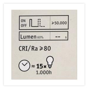 LED Stmievateľná žiarovka CLASSIC G125 E27/4,5W/230V 2600K - Paulmann 28742