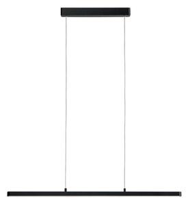Paulmann 79693 - LED/42W Stmievateľný luster na lanku LENTO 230V čierna
