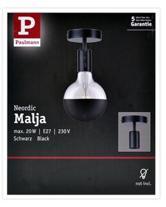 Paulmann 79760 - Stropné svietidlo HALDOR 1xE27/20W/230V