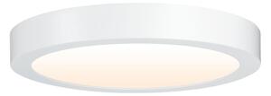 Paulmann 79799 - LED/19W Stropné svietidlo CARPO 230V 2300/2500/3000K