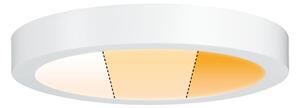 Paulmann 79799 - LED/19W Stropné svietidlo CARPO 230V 2300/2500/3000K
