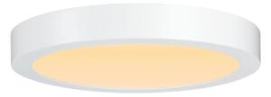 Paulmann 79799 - LED/19W Stropné svietidlo CARPO 230V 2300/2500/3000K