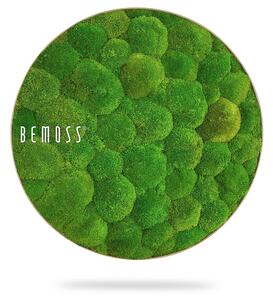 Machový obraz kruh BOLMOSS Light Green