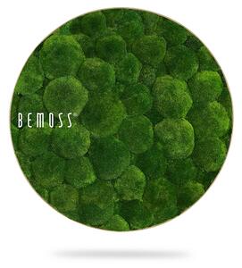 Machový obraz kruh BOLMOSS Natural Green
