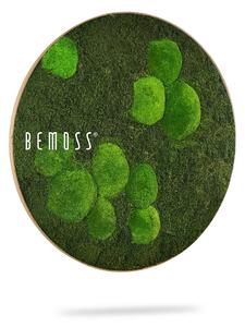 Machový obraz kruh FLATMOSS & BOLMOSS Light Green
