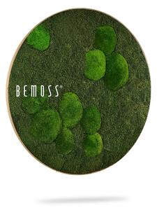 Machový obraz kruh FLATMOSS & BOLMOSS Natural Green