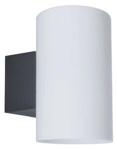 Paulmann 94186 - 1xE27/15W IP54 Vonkajšie nástenné svietidlo TUBE 230V