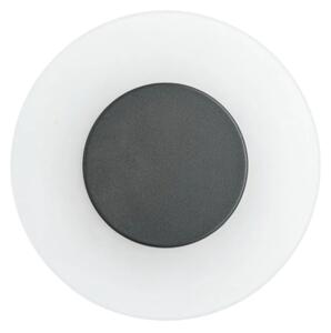 Paulmann 94409 - LED/4W IP44 Vonkajšie nástenné svietidlo CIRCEA 230V