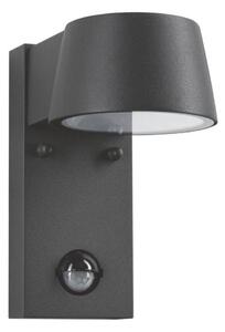 Paulmann 94453 - LED/6W IP44 Vonkajšie nástenné svietidlo so senzorom CAPEA 230V