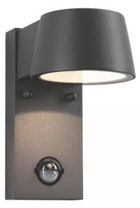 Paulmann 94453 - LED/6W IP44 Vonkajšie nástenné svietidlo so senzorom CAPEA 230V