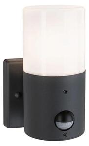 Paulmann 94648 - 1xE27/15W IP44 Vonkajšie nástenné svietidlo so senzorom TUBS 230V