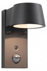 Paulmann 94714 - LED/6W IP44 Vonkajšie nástenné svietidlo so senzorom CAPERA 230V
