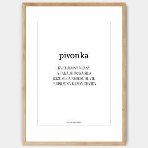Plagát Pivonka + text