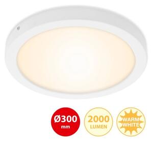 Briloner 7141-016 - LED Stropné svietidlo FIRE LED/21W/230V