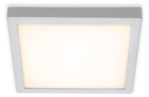 Briloner 7142-014 - LED Stropné svietidlo FIRE LED/21W/230V 3000K