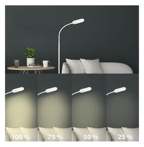 Briloner 1297-016 - LED Stmievateľná stojacia lampa LED/8W/230V