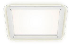 Briloner 3397-016 - LED Stropné svietidlo FREE LED/22W/230V
