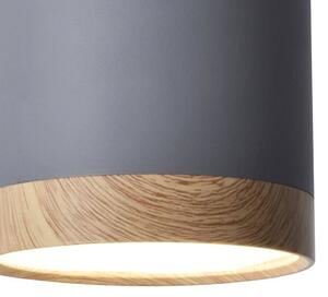 Stropné svietidlo TUBA Grey / Wood, LED, H15