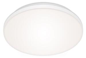 Briloner 7377-016 - LED Stmievateľné stropné svietidlo LED/12W/230V 3000-6500K