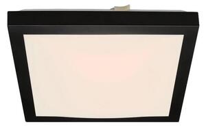 Briloner 3502-015 - LED Stropné svietidlo FLEDO LED/12W/230V