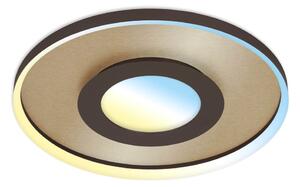 Briloner 3640017 - LED Stmievateľné stropné svietidlo LED/25W/230V 2700-6500K + DO