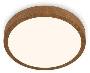 Brilo - LED Stropné svietidlo RUNA LED/24W/230V