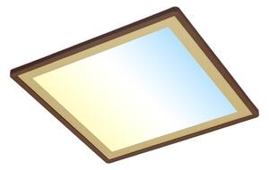 Briloner 7459-417 - LED Stmievateľné stropné svietidlo DECO LED/24W/230V + DO