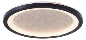 Brilliant - LED Stropné svietidlo MOSAKO LED/16W/230V 3000K pr. 25 cm čierna
