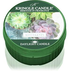 Kringle Candle Succulents čajová sviečka 42 g