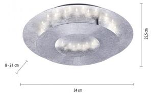 Paul Neuhaus 9011-21 - LED Stropné svietidlo NEVIS LED/6W/230V strieborná