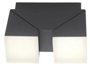 Paul Neuhaus 9722-13 - LED Vonkajšie nástenné svietidlo RYAN 2xLED/5W/230V IP54