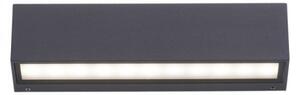 Paul Neuhaus 9675-13 - LED Vonkajšie nástenné svietidlo ROBERT 2xLED/9W/230V IP65