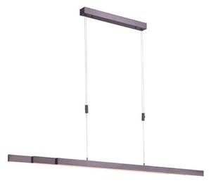 Paul Neuhaus 2568-24 - LED Stmievateľný luster na lanku ADRIANA LED/14W/230V