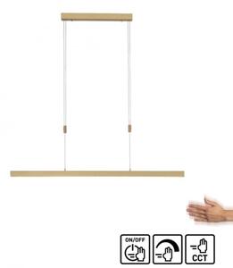 Paul Neuhaus 2568-60 - LED Stmievateľný luster na lanku ADRIANA LED/14W/230V mosadz