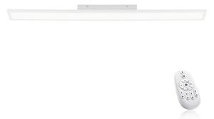 Paul Neuhaus 16537-16-O - LED Sstmievateľný prisadený panel FLAT LED/21W/230V + DO