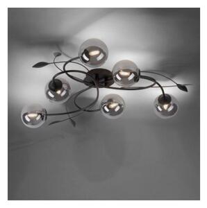 Paul Neuhaus 6737-18 - LED Prisadený luster WIDOW 6xG9/3W/230V