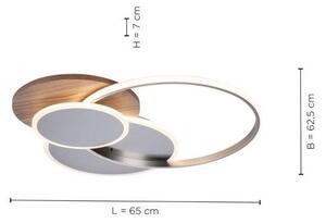 Paul Neuhaus 8328-79 - LED Stmievateľné stropné svietidlo PALMA LED/50W/230V + DO