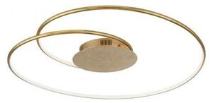 Paul Neuhaus 6189-12 - LED Stmievateľné stropné svietidlo NASTRO LED/26W/230V
