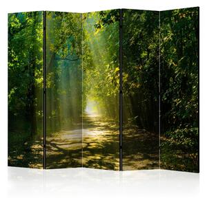 PARAVÁN, 225/172/3 cm artgeist - Paravány, Online Only